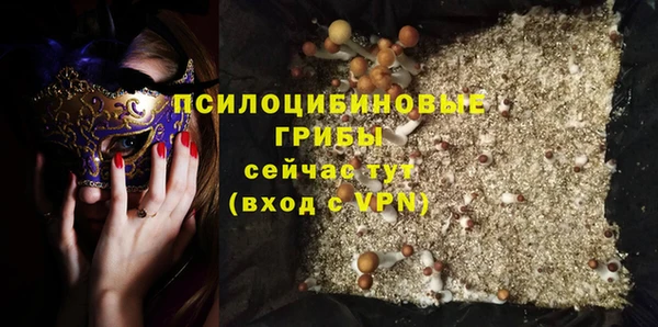 круглые Абаза