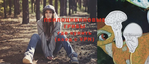 прущий лед Алзамай